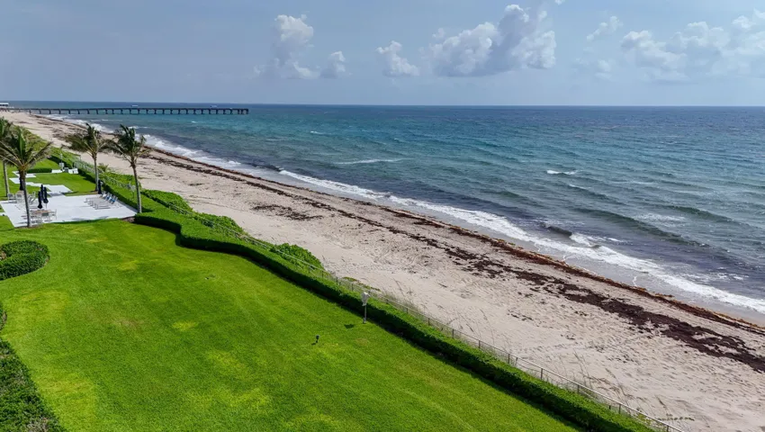Manicured beachfront lawn with mature palm trees and paved patio areas