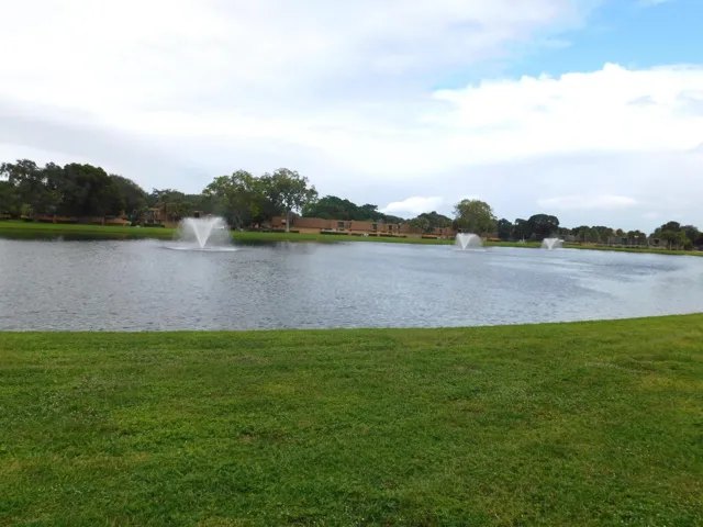 LAKE VIEW