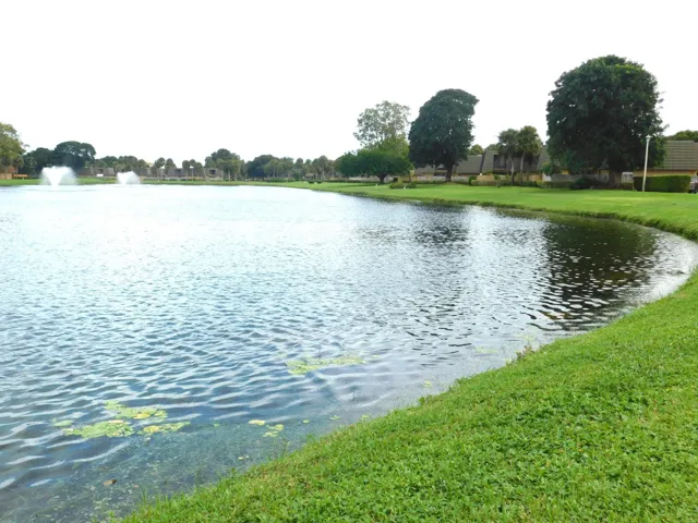 LAKE VIEW