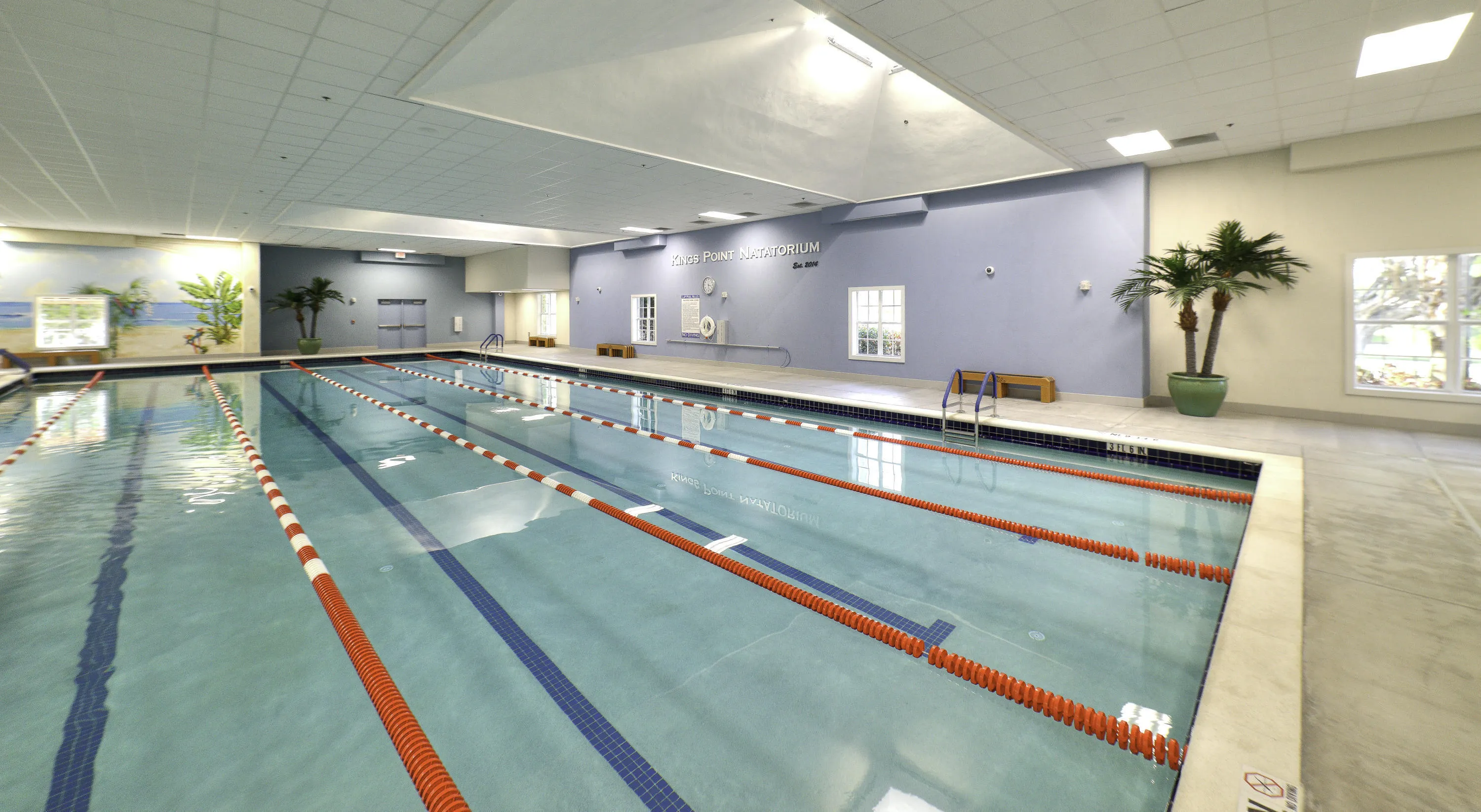 Olympic pool