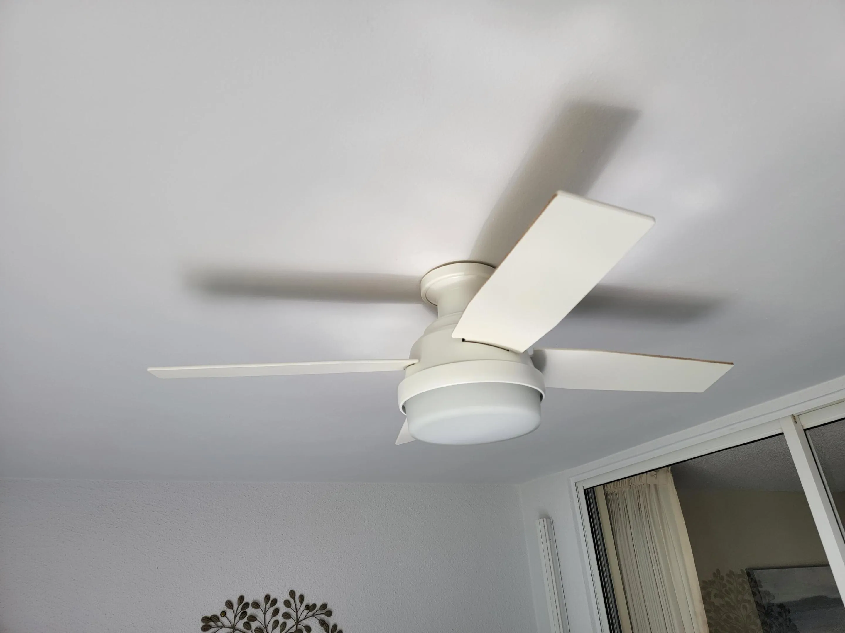 New fan