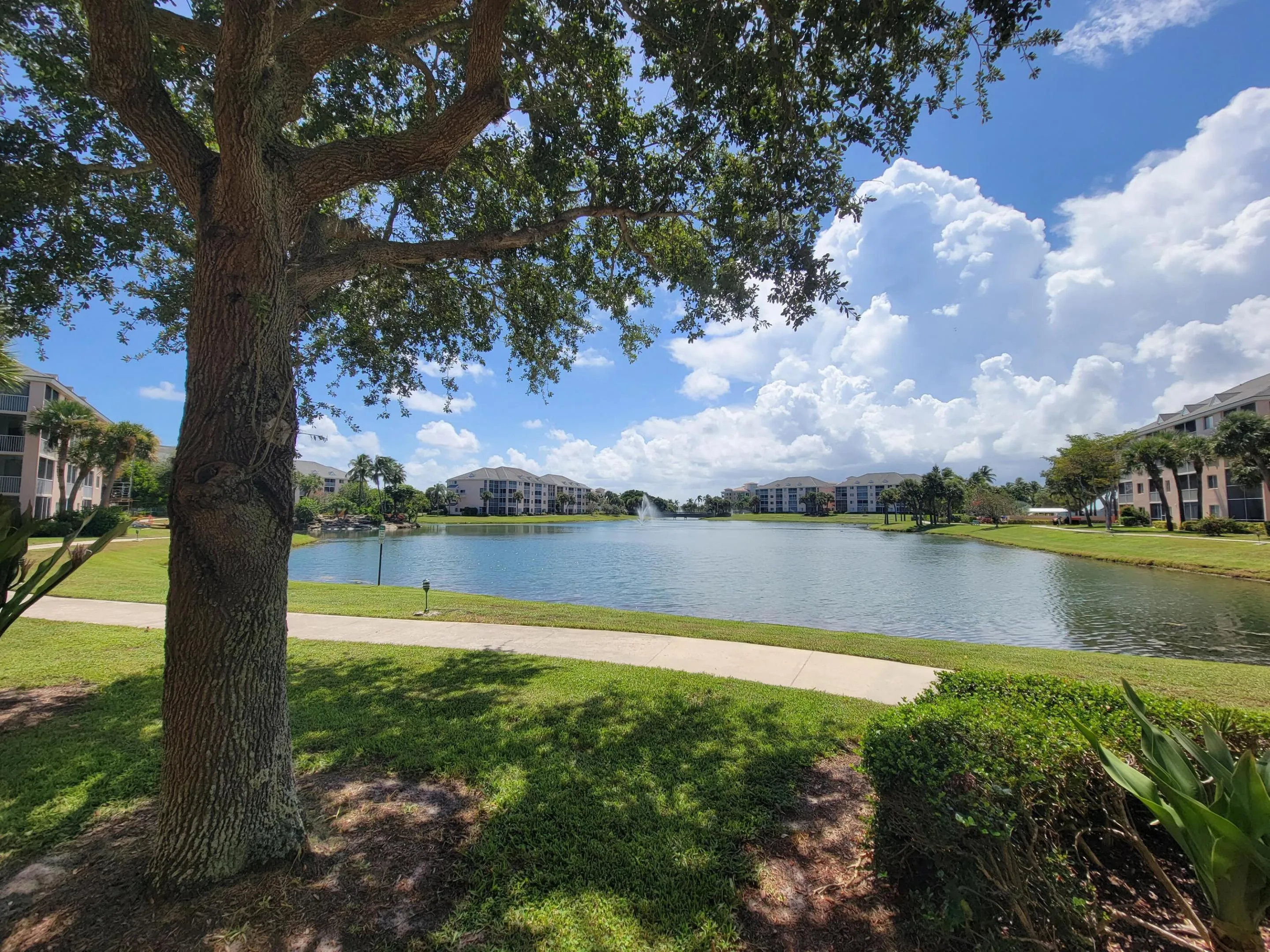 Your lake view