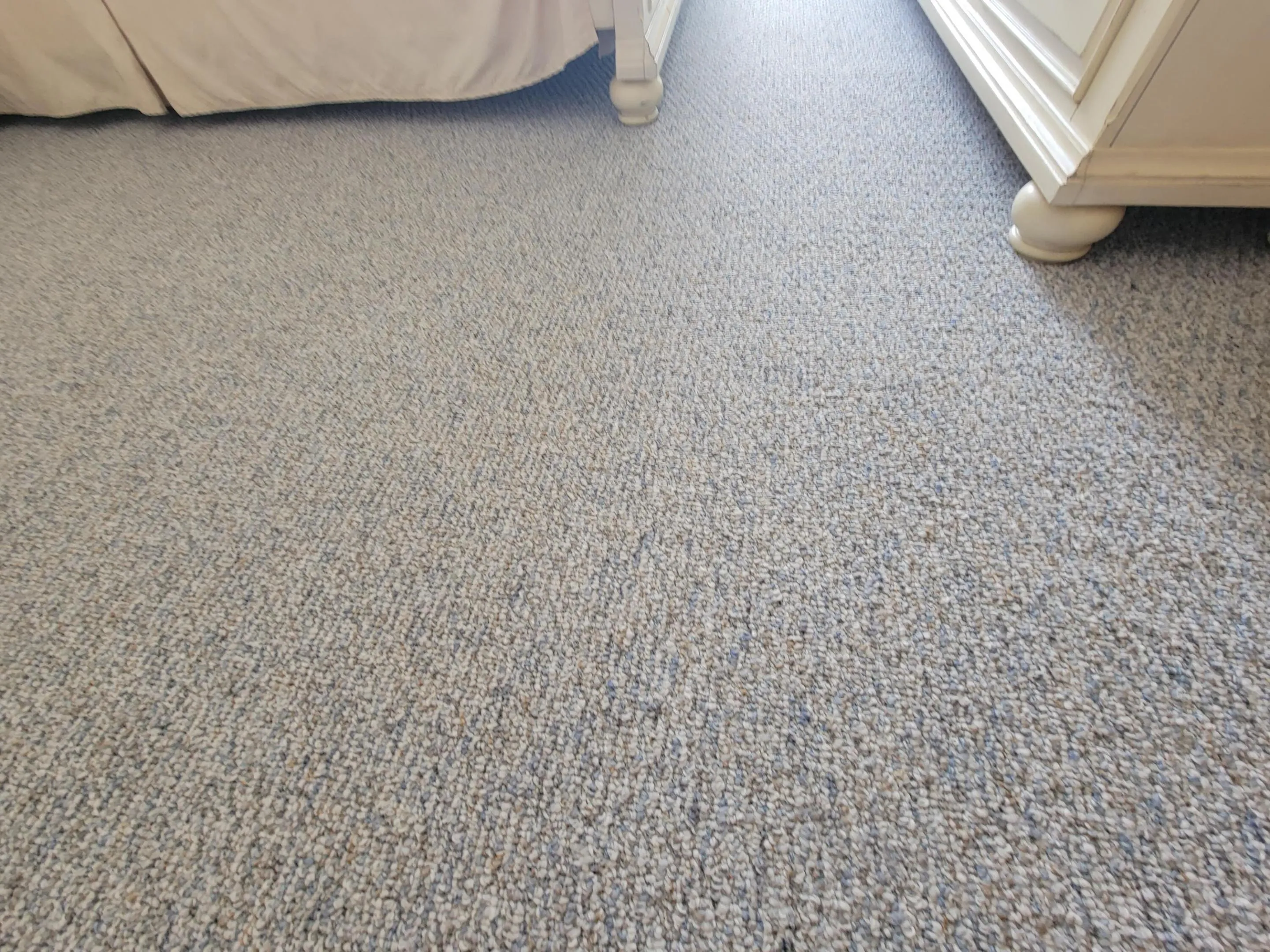 New Carpet