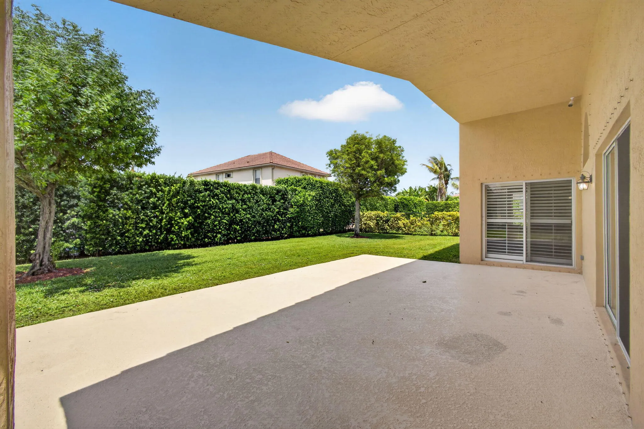 51-web-or-mls-5D1A2051