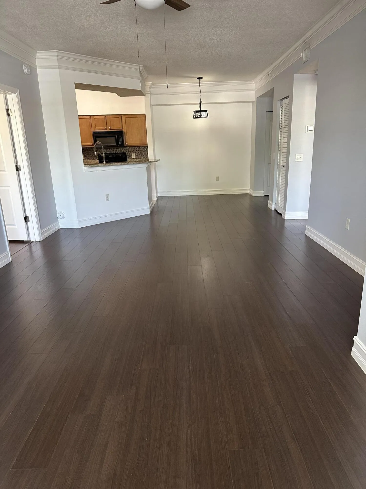 Living Room/ Dining Area