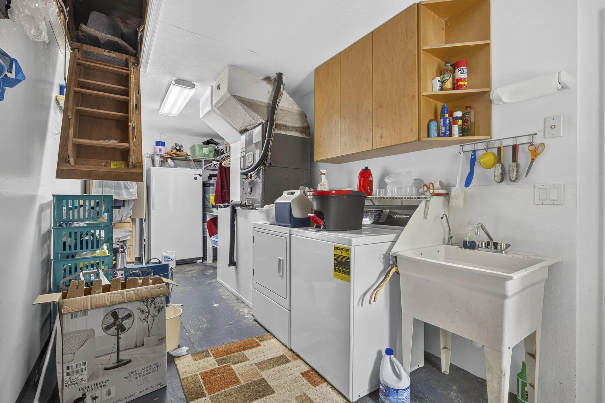46-web-or-mls-BS1A3248