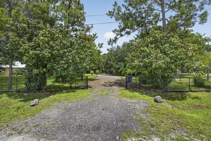 6-web-or-mls-BS1A3363