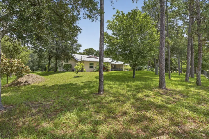 13-web-or-mls-BS1A3314