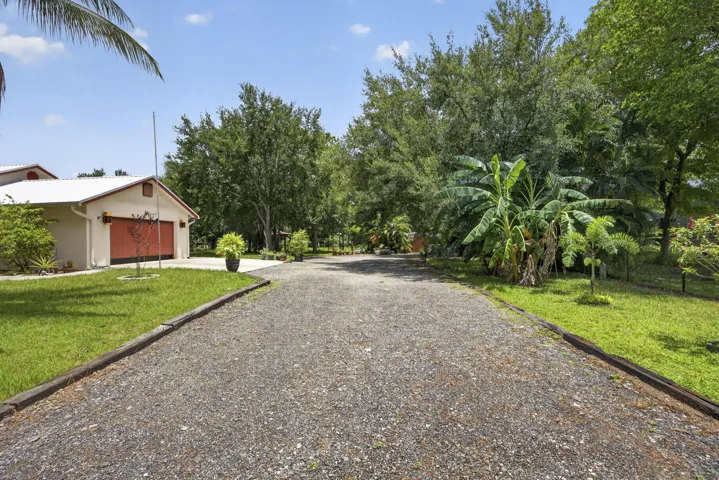 3-web-or-mls-BS1A3349