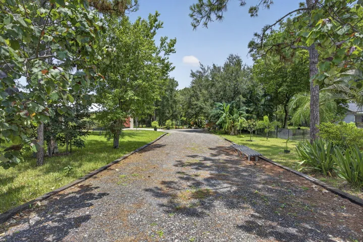 5-web-or-mls-BS1A3358