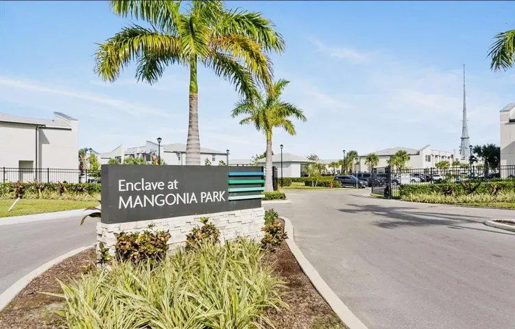 MANGONIA 17