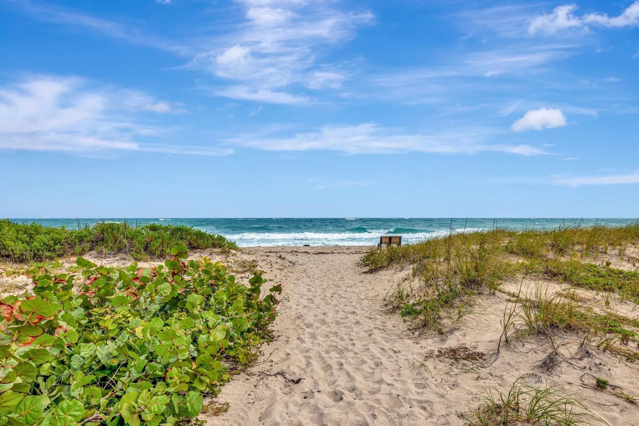 Palmetto Park Beach