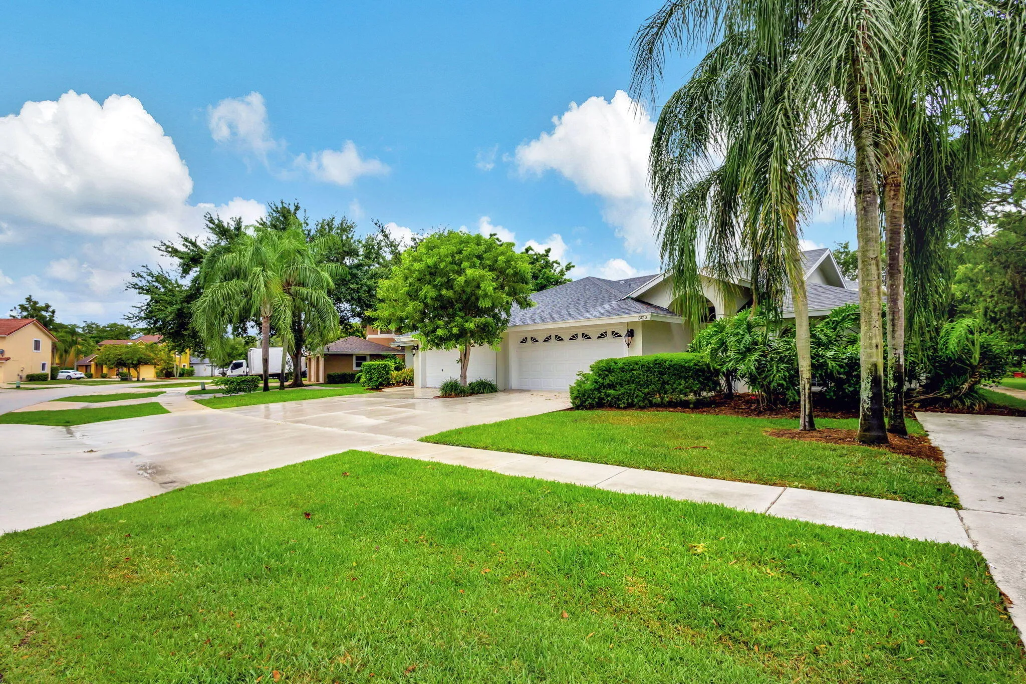 3-web-or-mls-5D1A1797 2024-09-15 22_19_0