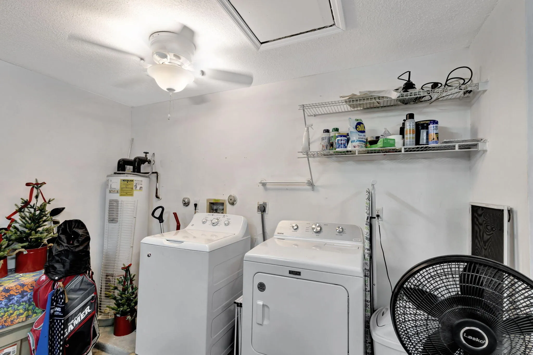 6-web-or-mls-5D1A1832 2024-09-15 22_19_1