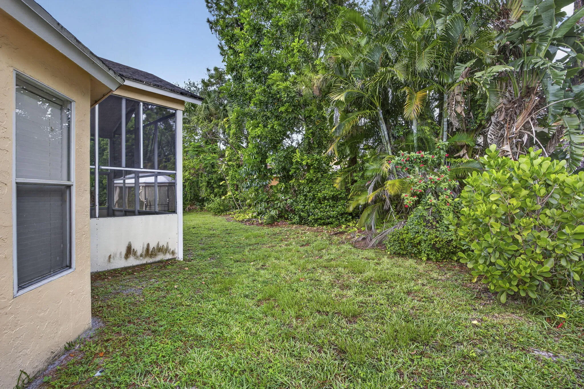 40-web-or-mls-BS1A2753