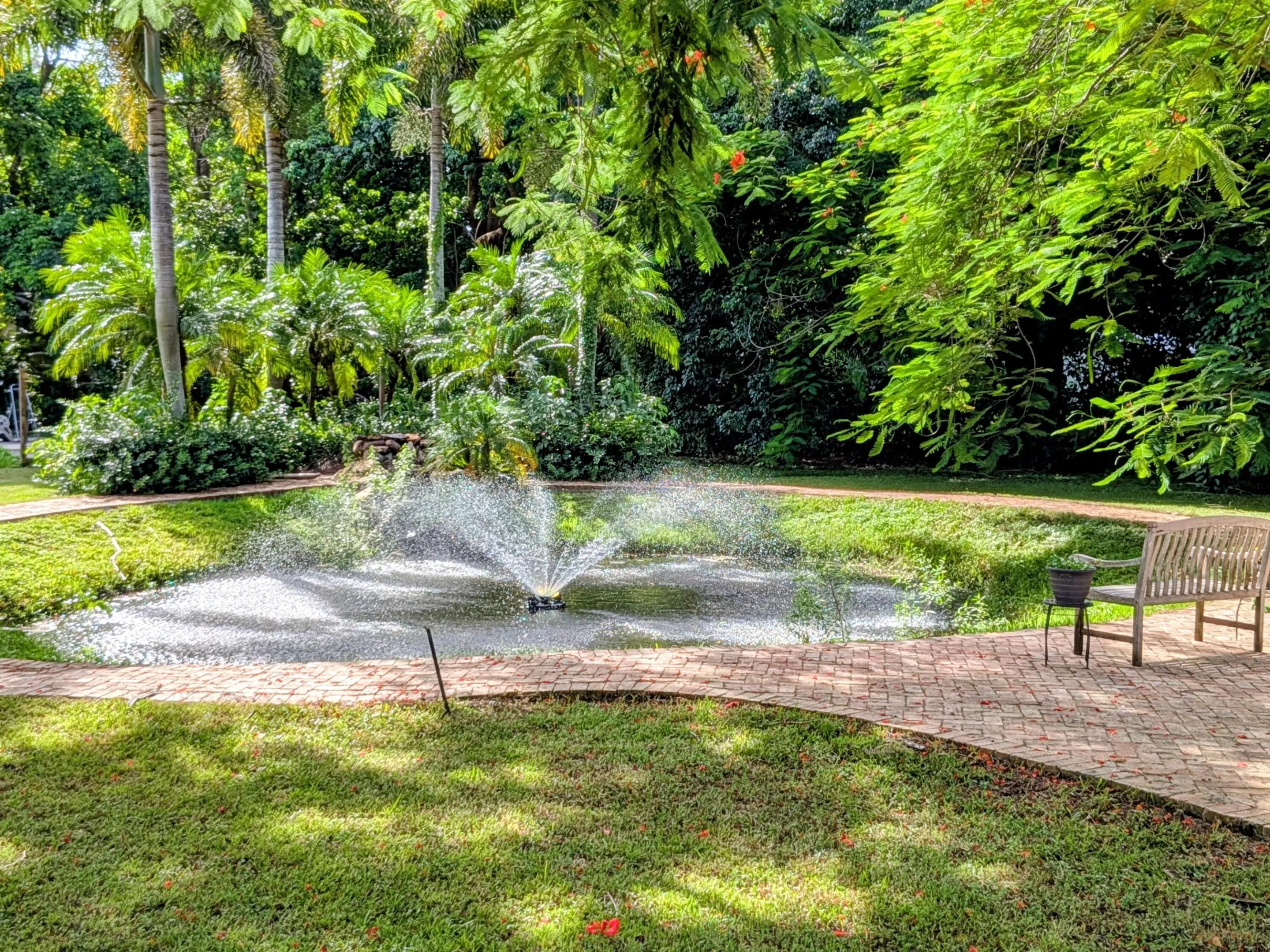 Pond with Fountain