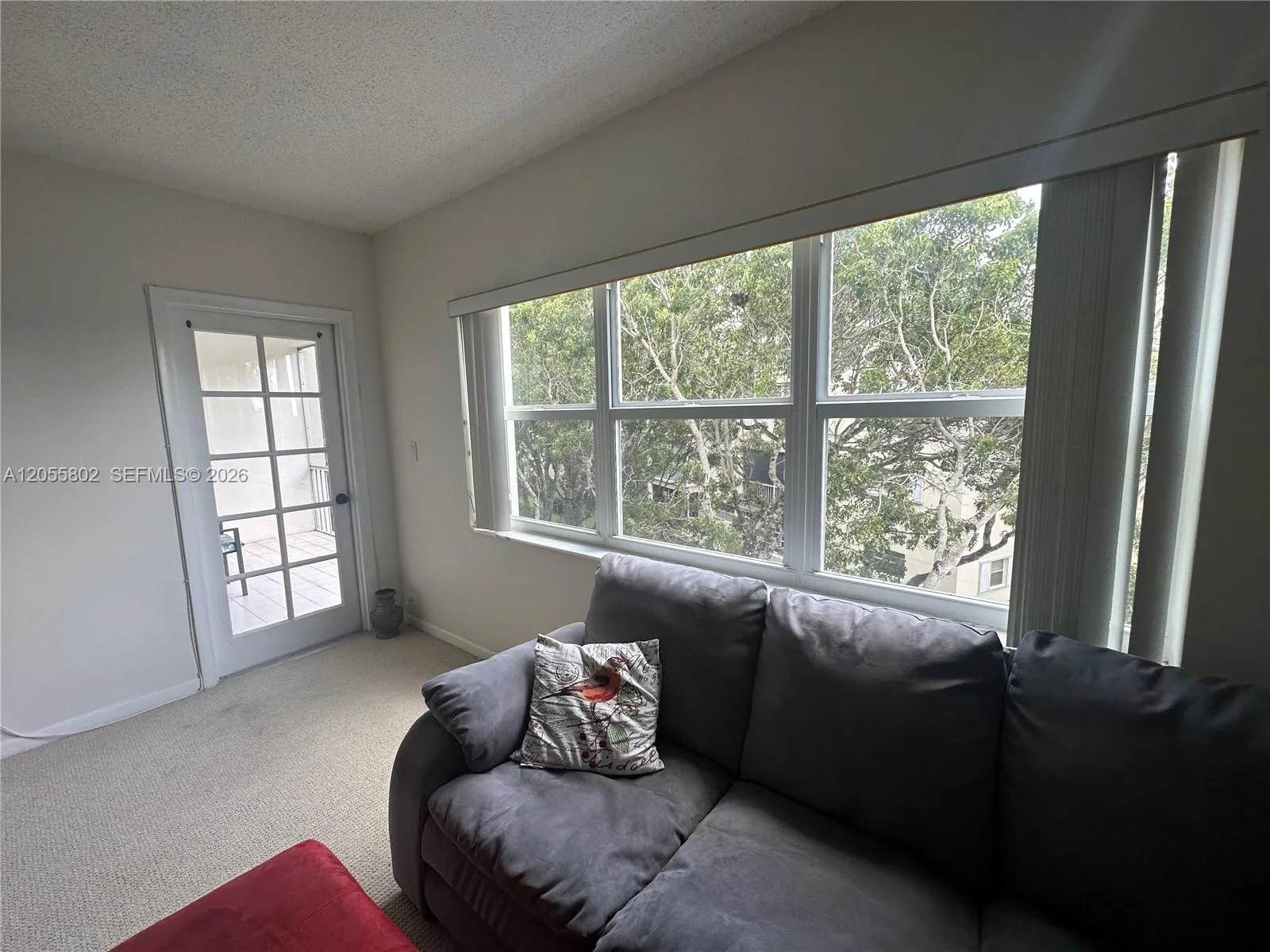 Hurricane Windows & Patio Entrance