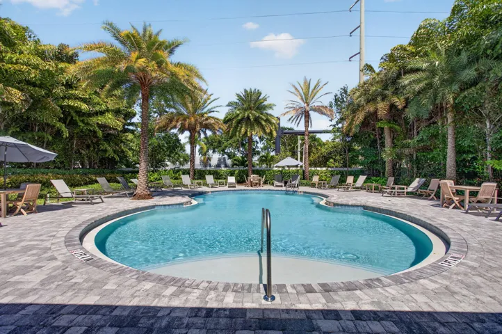 Resort-style pool with a curved design, surrounded by a paver deck and mature tropical landscaping
