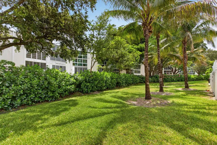 Expansive green lawn bordering lush hedges and mature trees