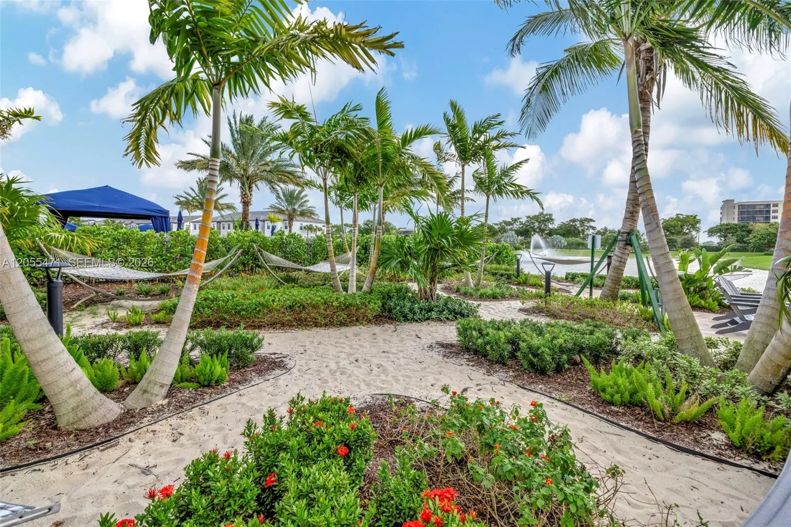 Photo 79