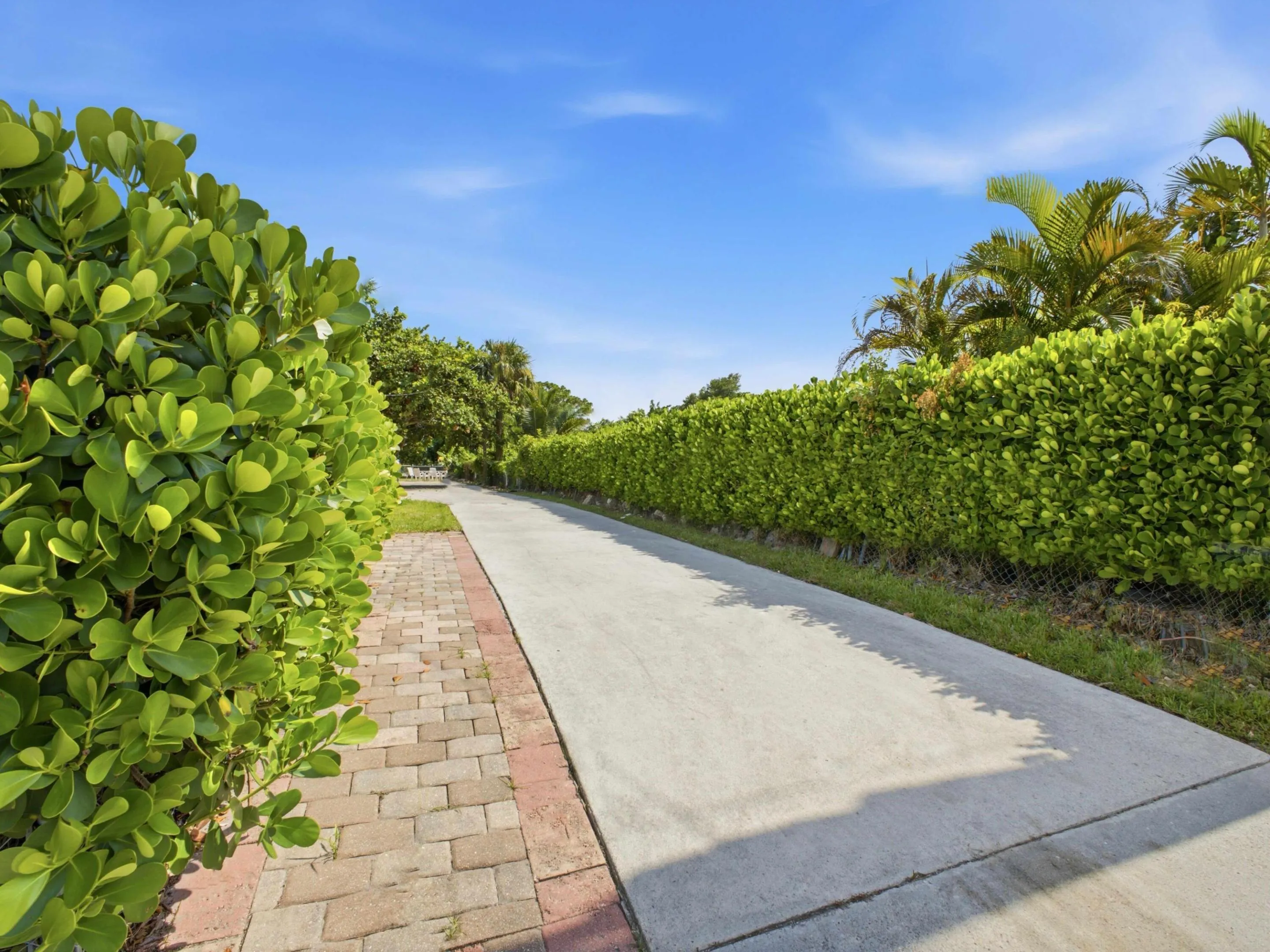 Driveway
