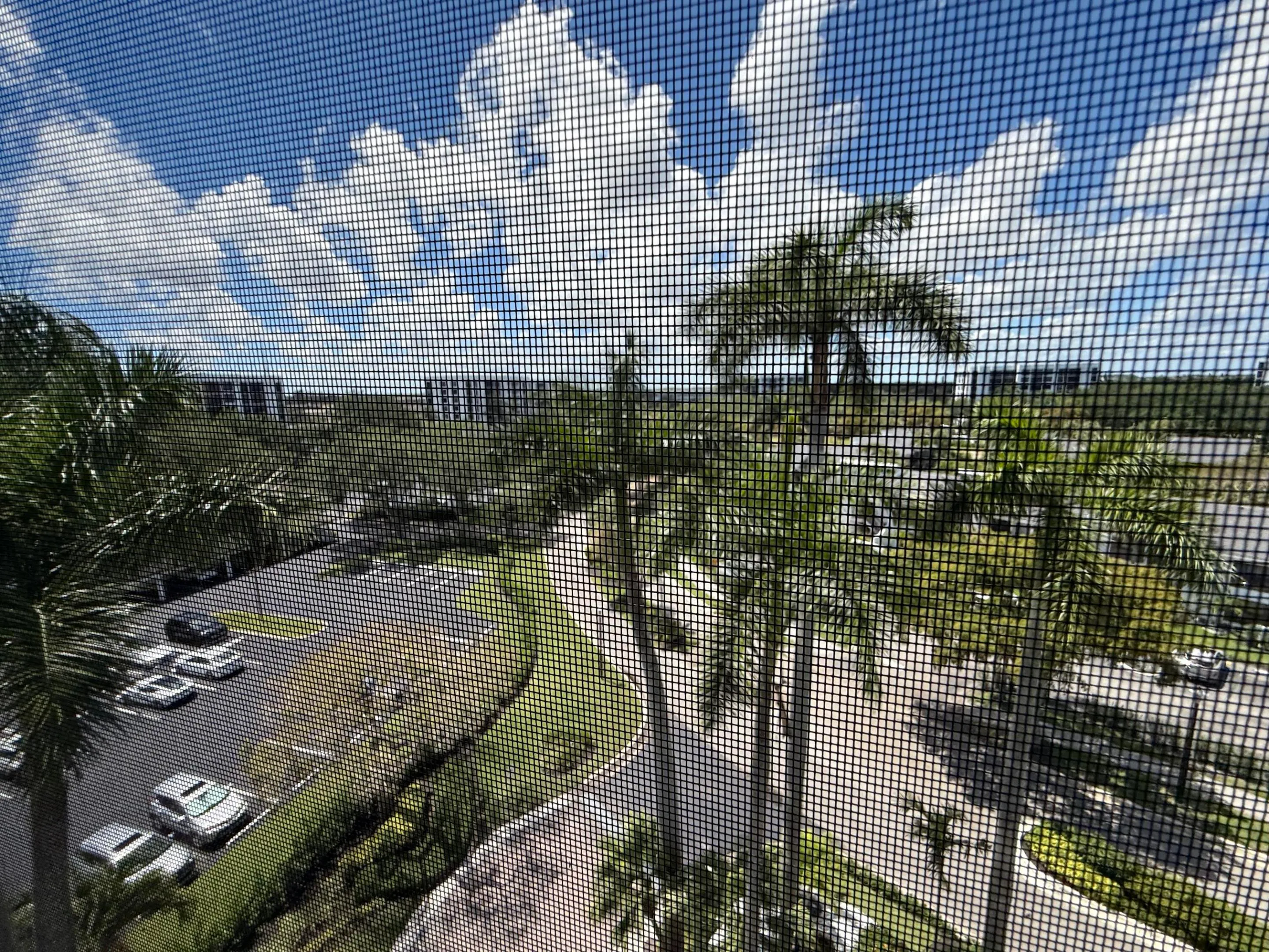 IMG_7554