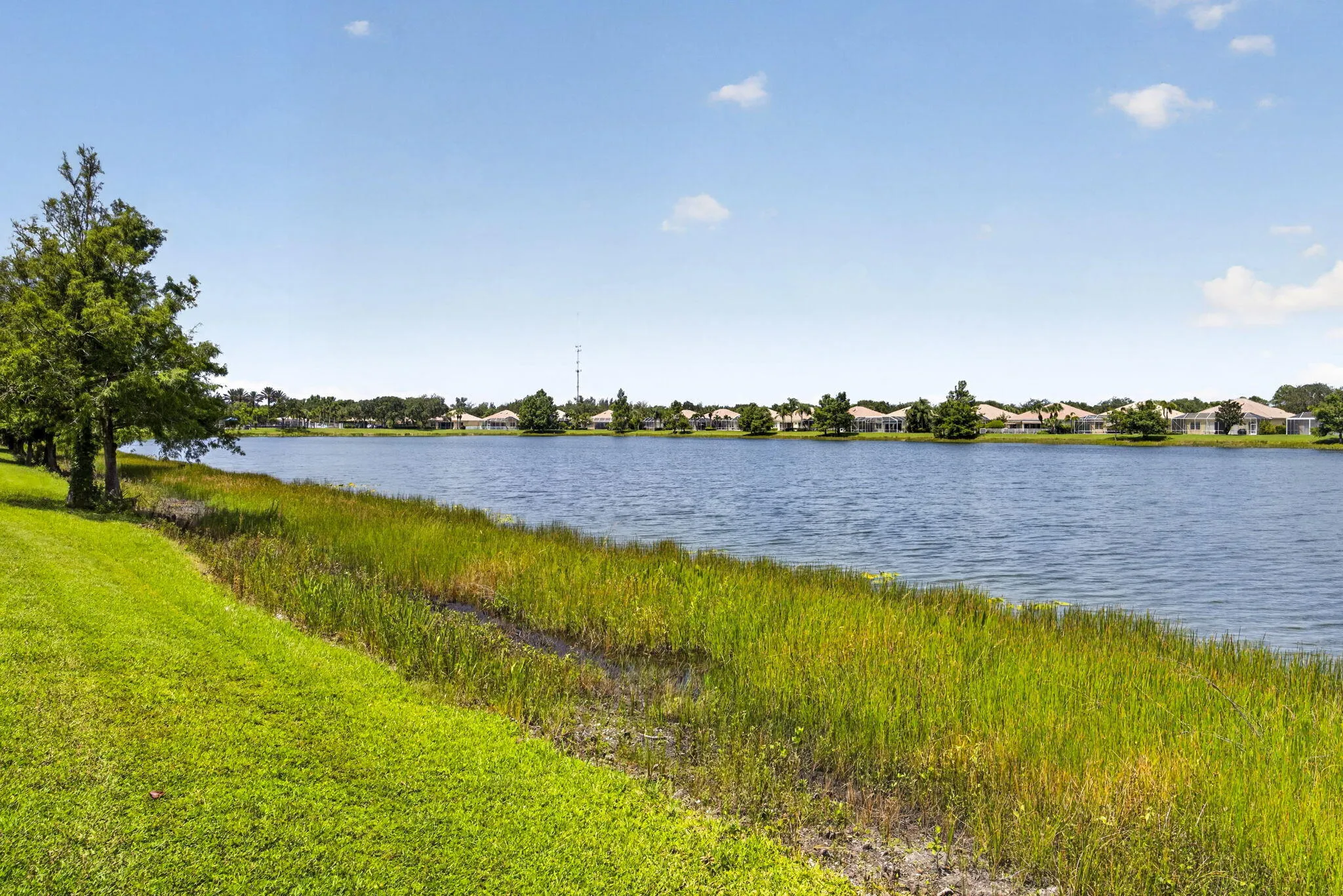 59-web-or-mls-BS1A3984