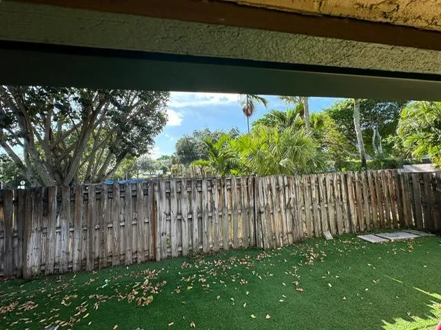 the back yard