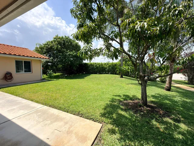 Backyard