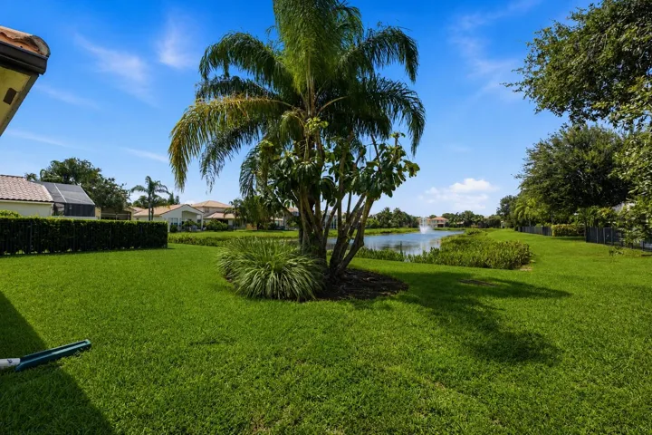 Water View