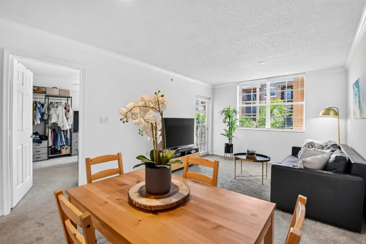 Dining / Living Room