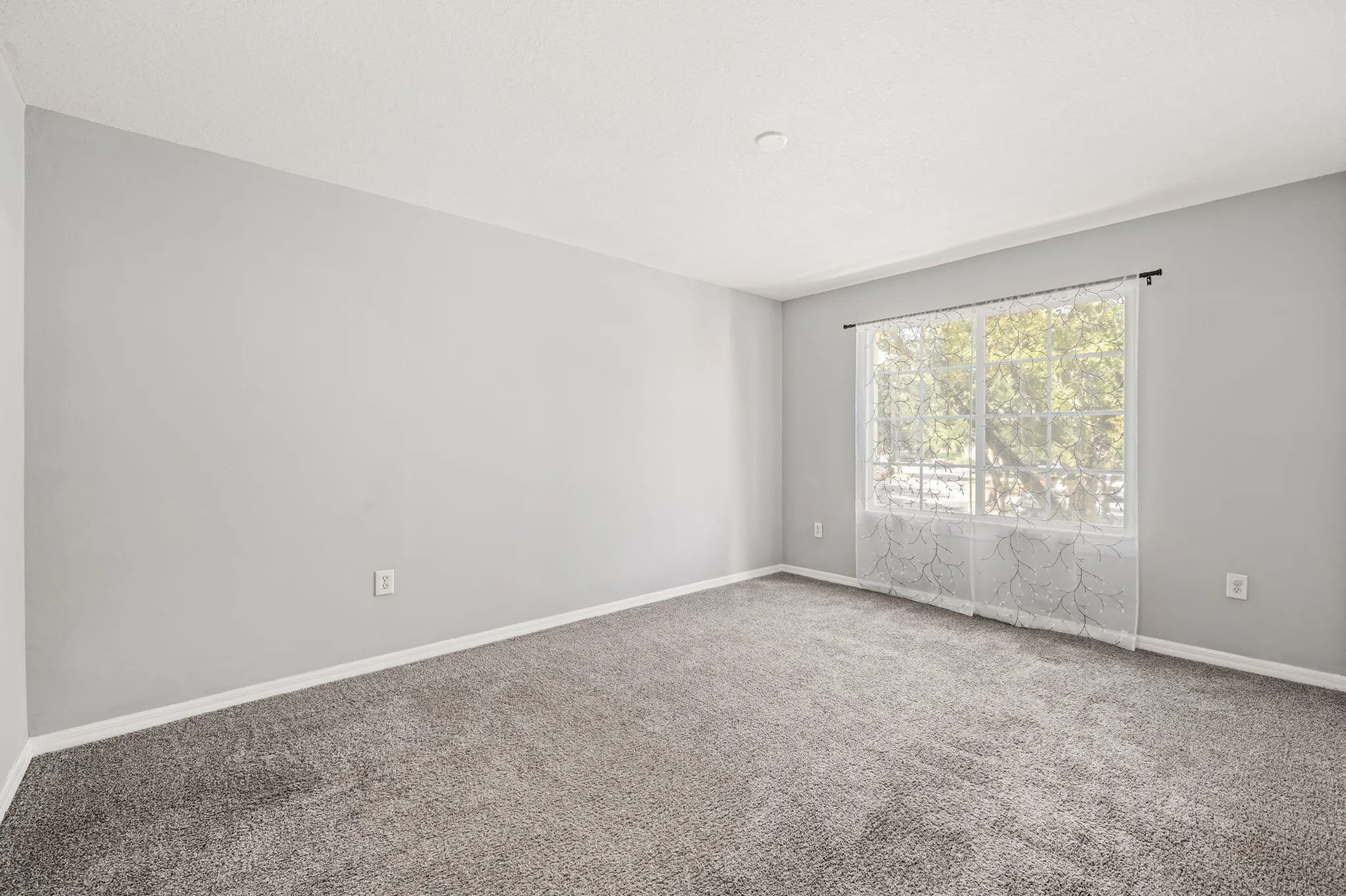 17-web-or-mls-DSC09523