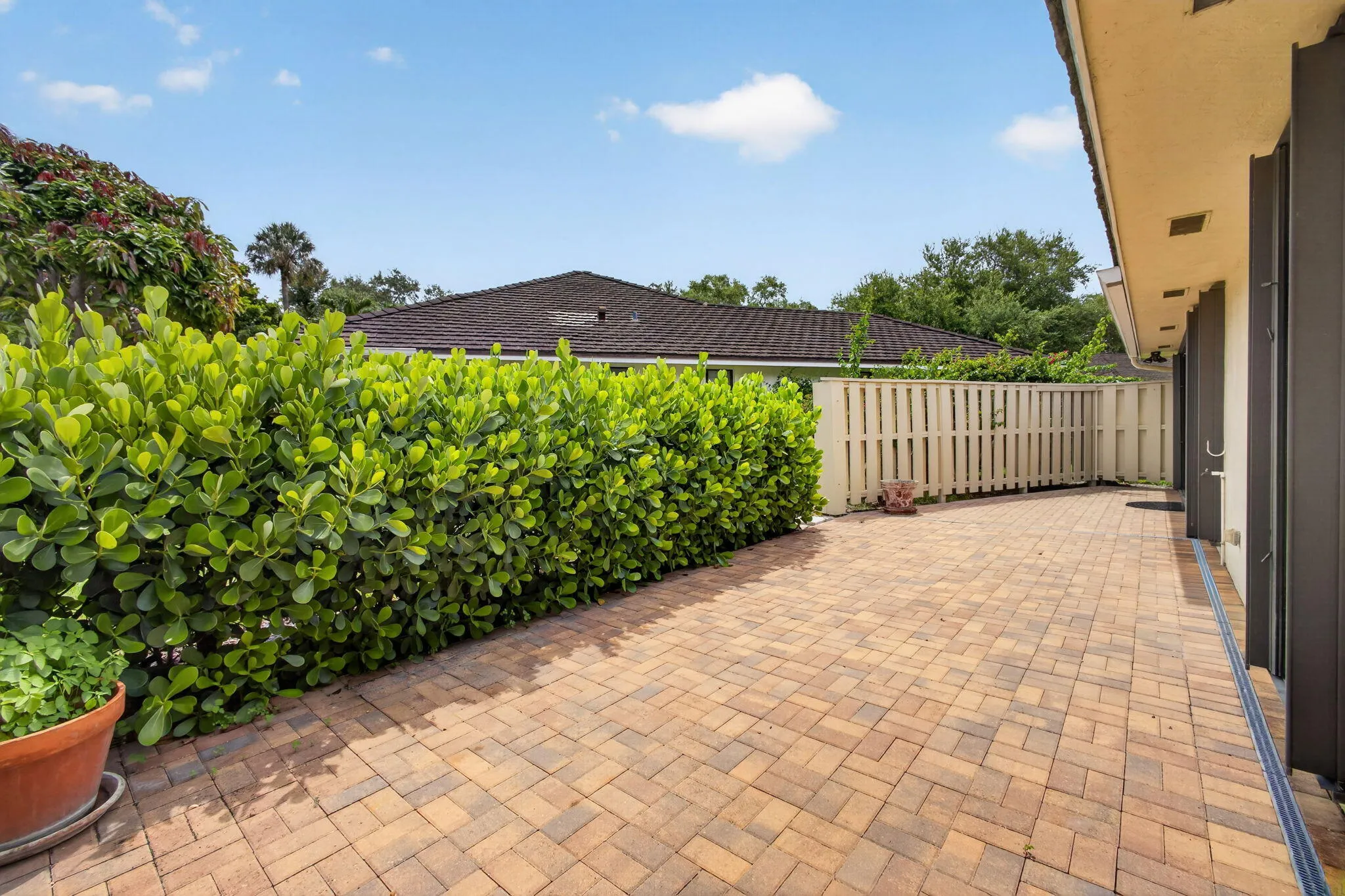 46-web-or-mls-5D1A9944