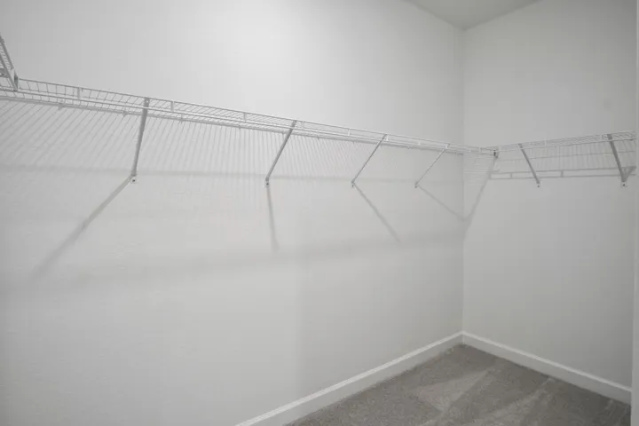 Primary walk-in closet.jpg-FULL