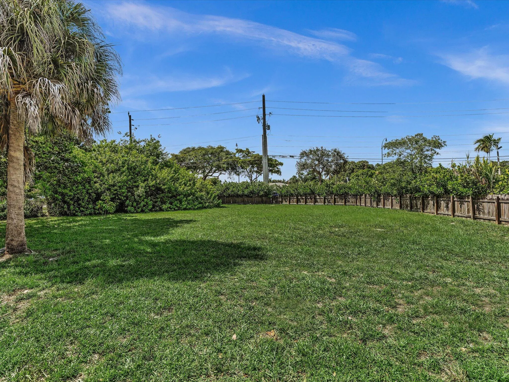 Expansive grass lawn featuring a wood fence perimeter and mature palm tree