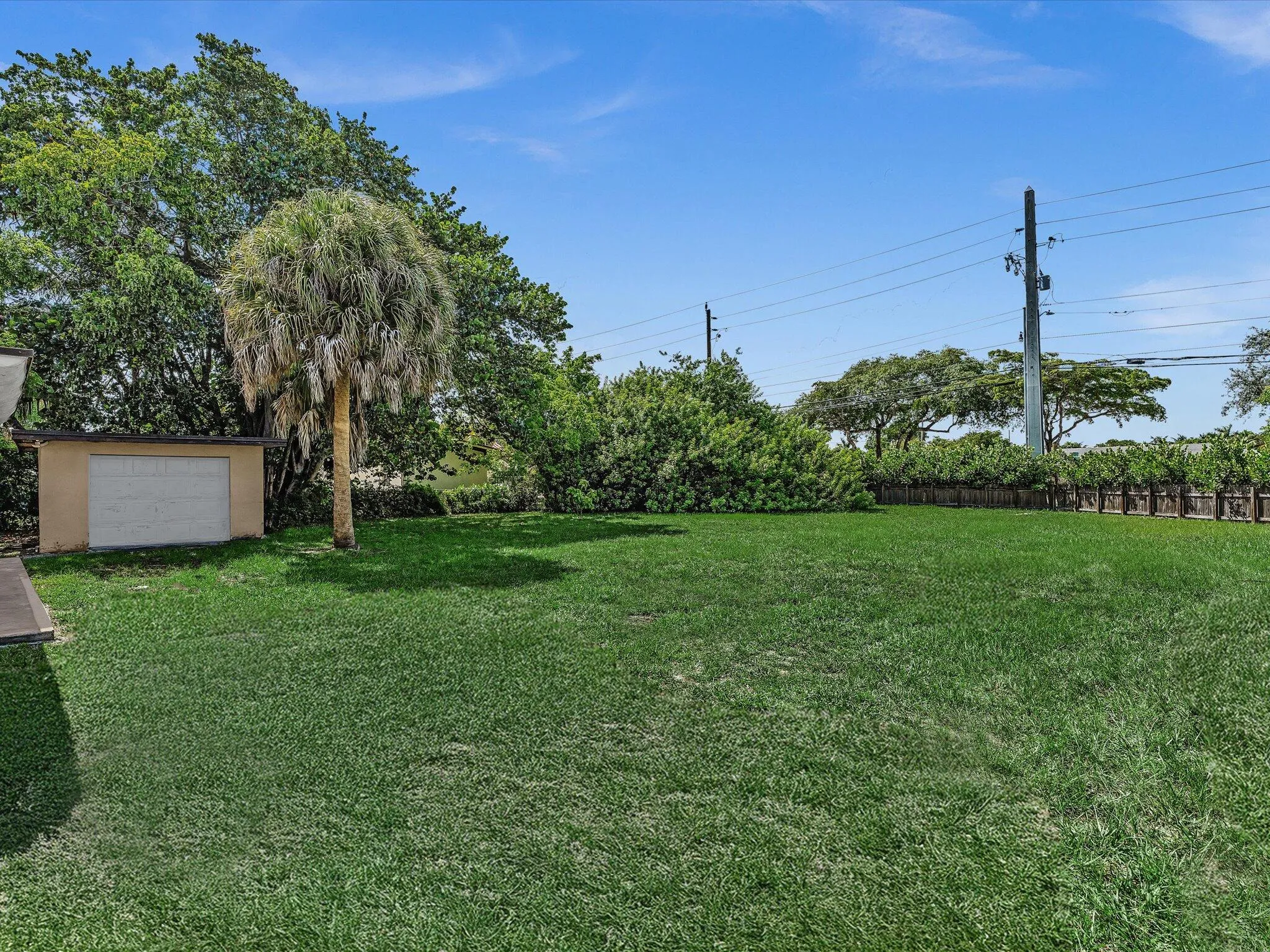 Expansive lawn area featuring a mature palm tree, lush perimeter foliage, and a detached garage with a roll-up door