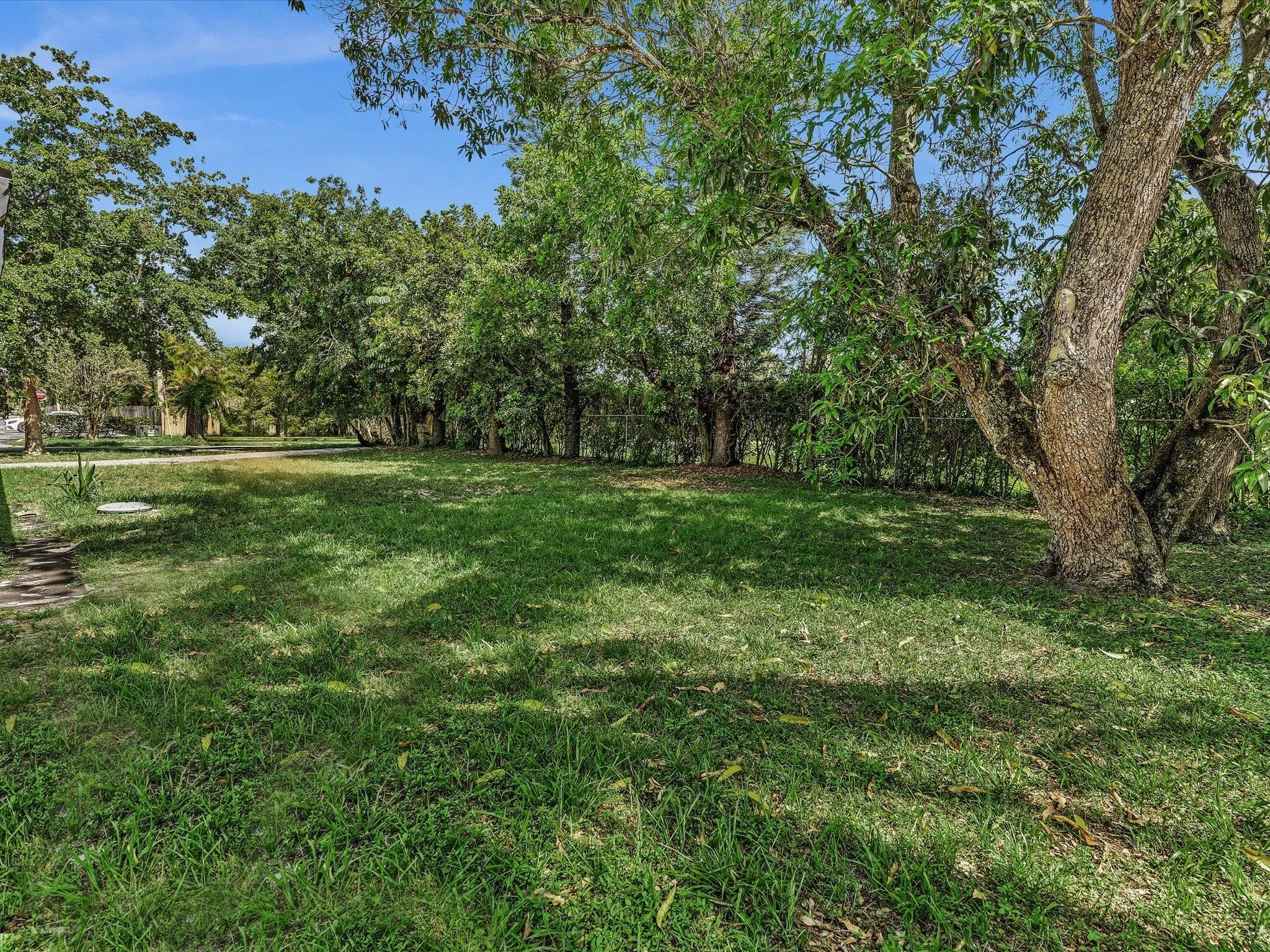 Expansive green lawn with mature trees providing dappled shade
