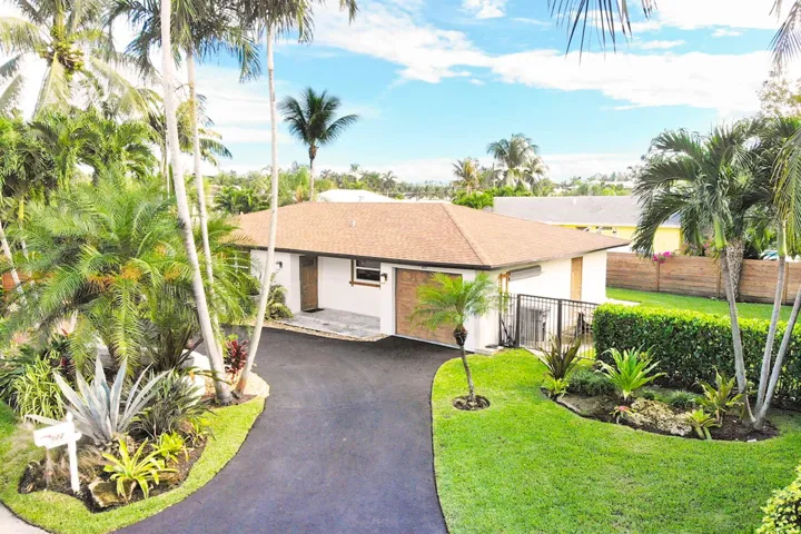 Contemporary single-story residence featuring a paved driveway, mature palm trees, and lush landscaping