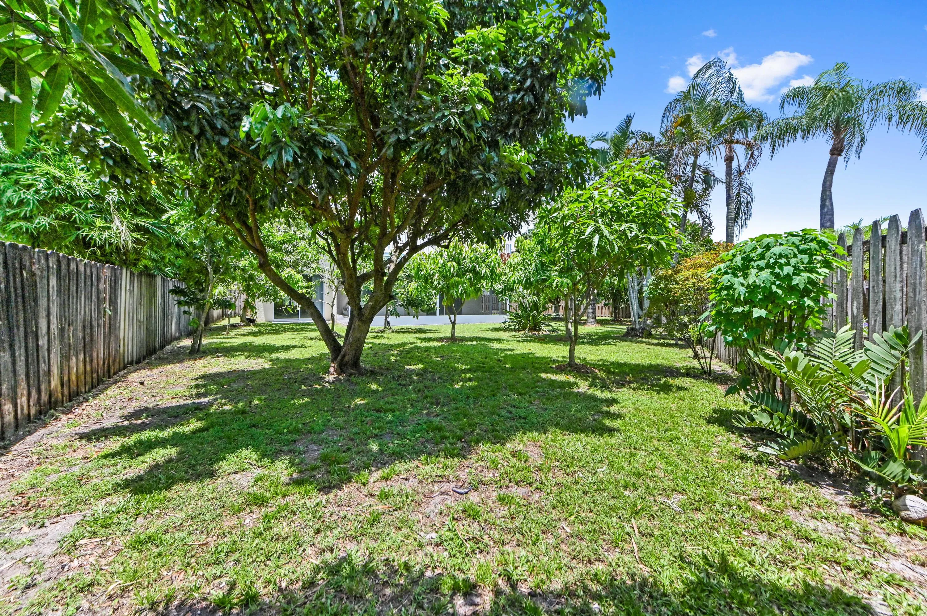 41 backyard 01