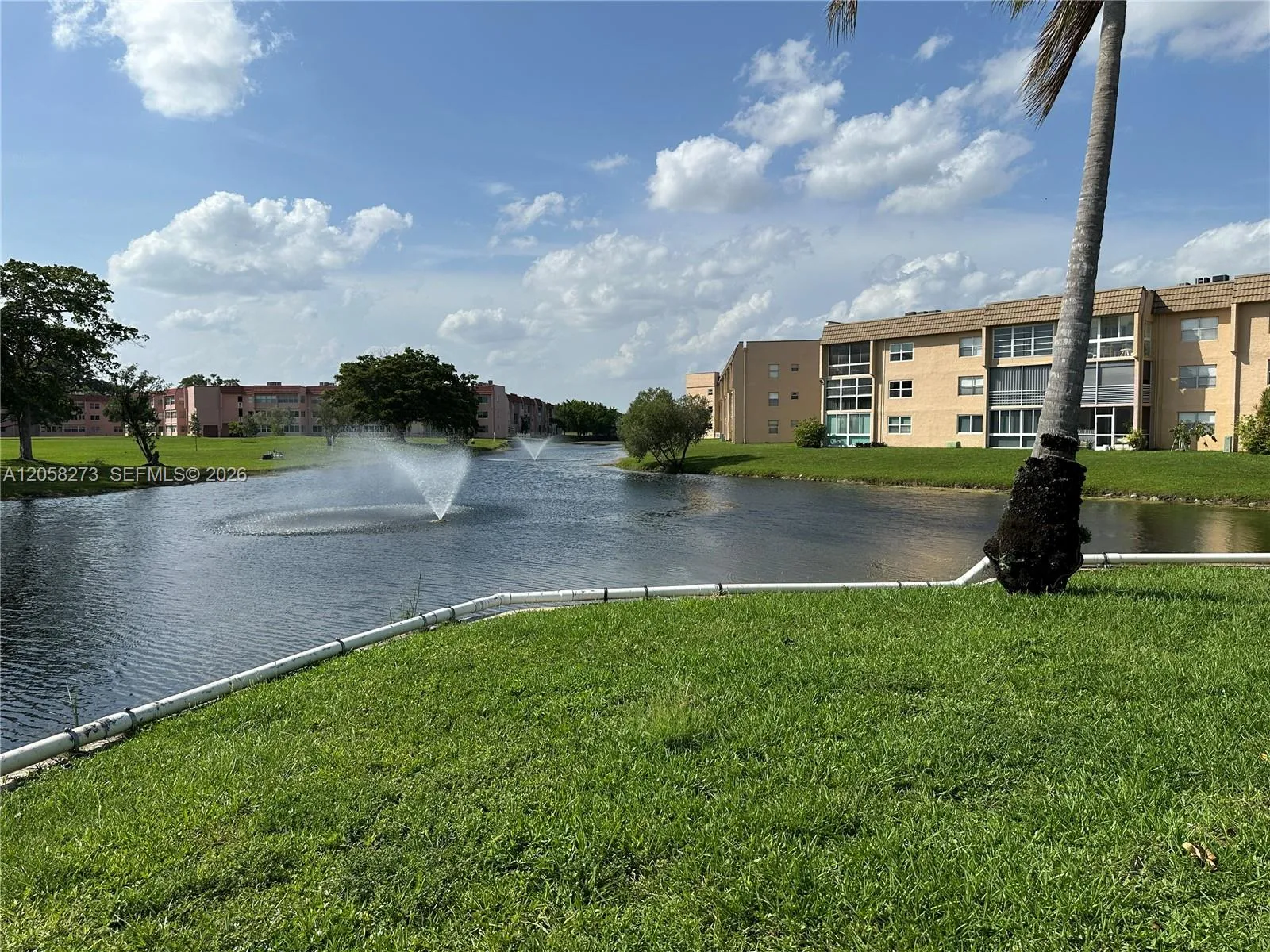Community View
