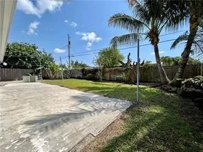 Back yard
