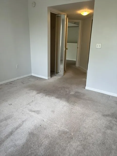 IMG_2348
