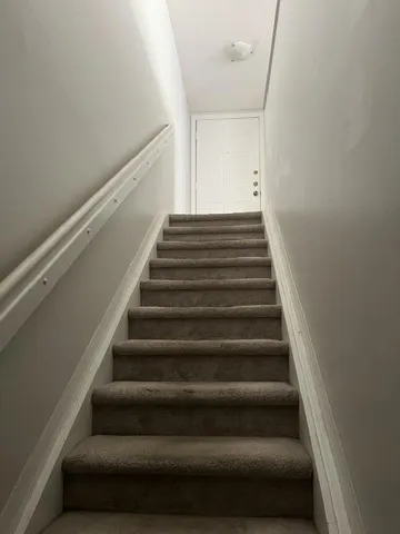 IMG_2344