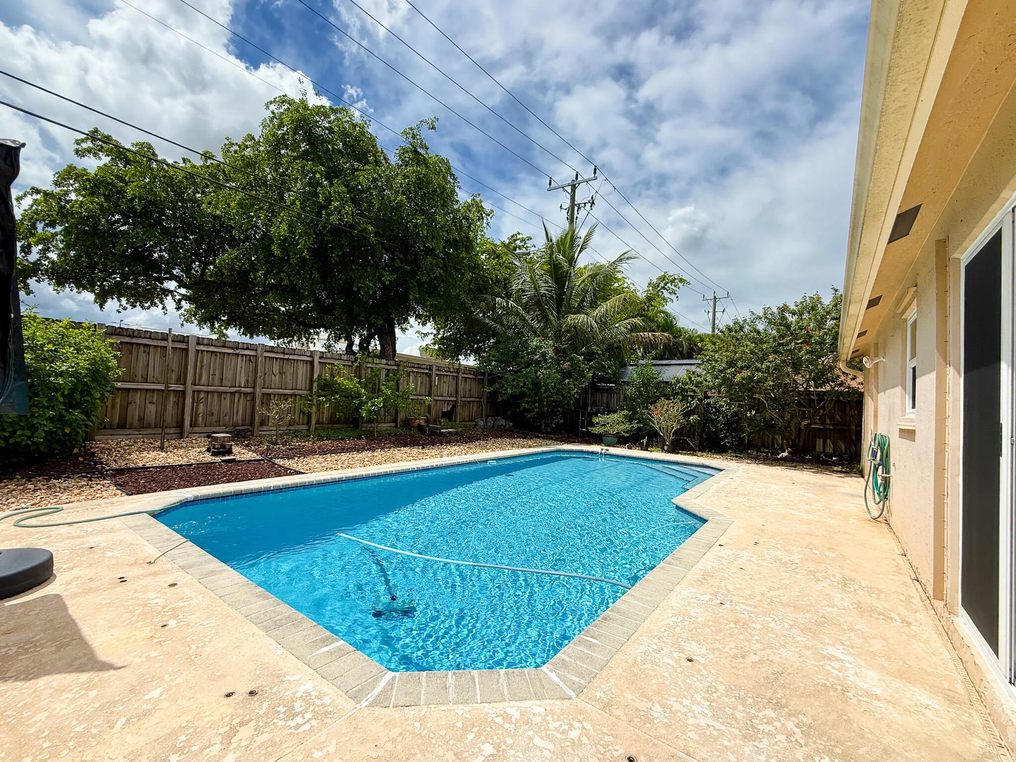 Pool and Backyard