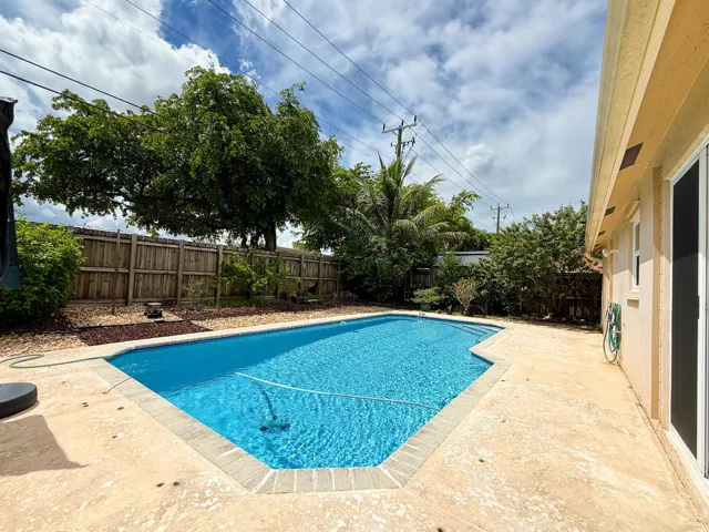 Pool and Backyard
