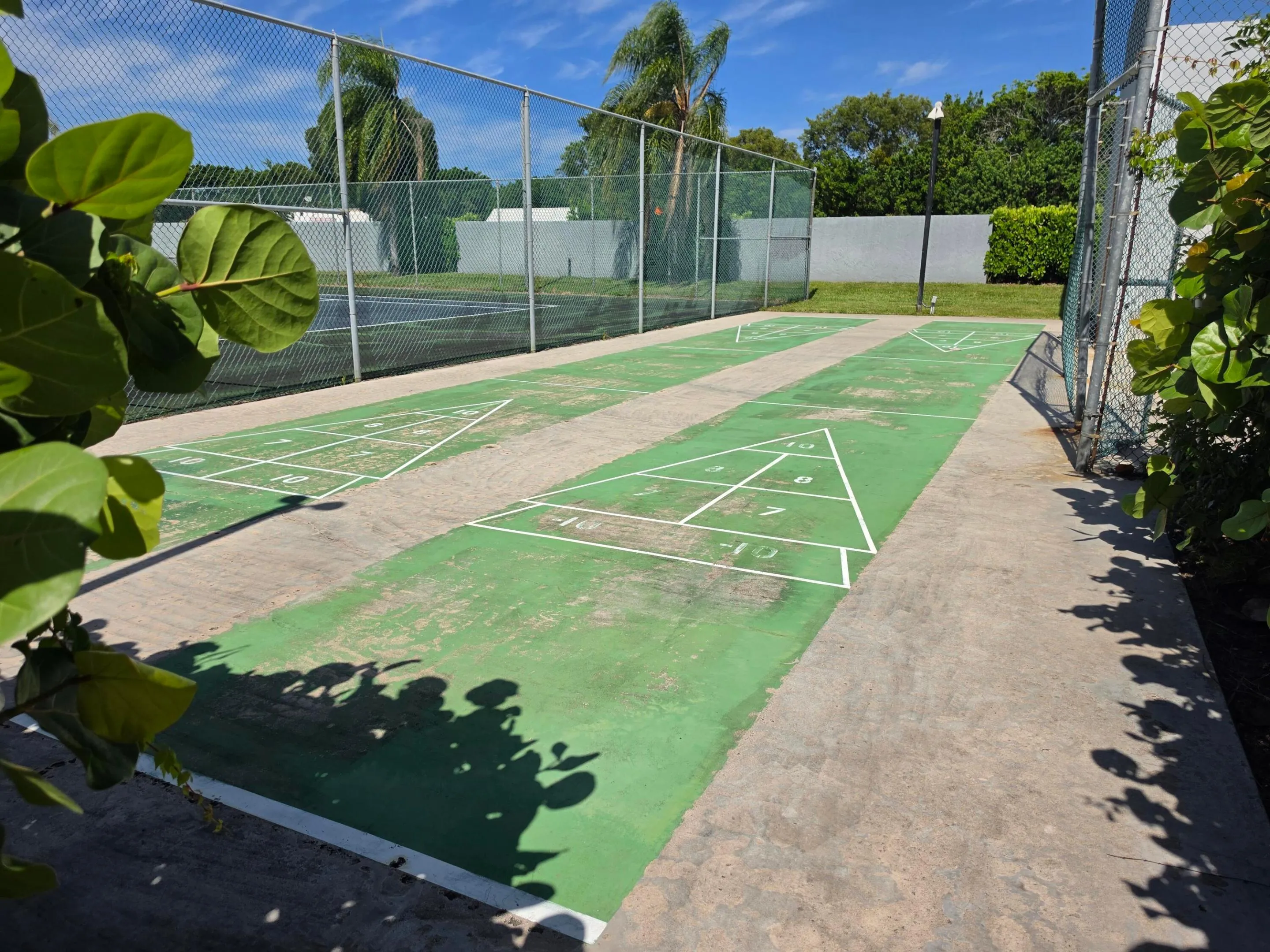 Shuffleboard Court