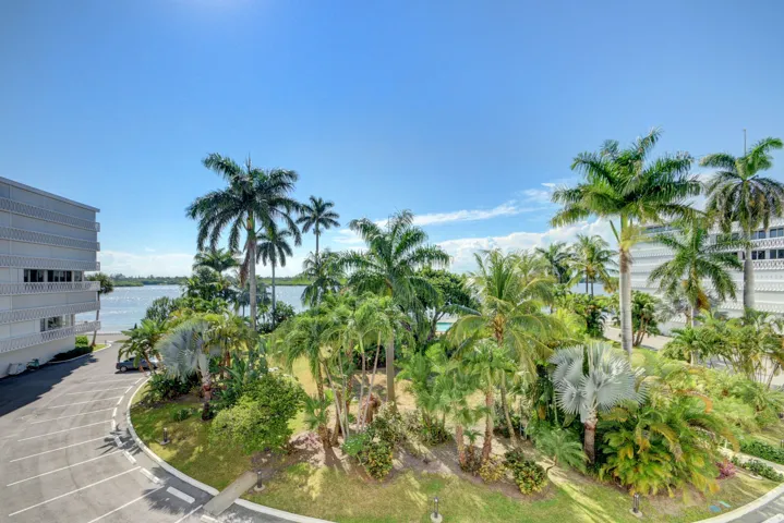 Lush tropical landscaping featuring mature palm trees and diverse foliage