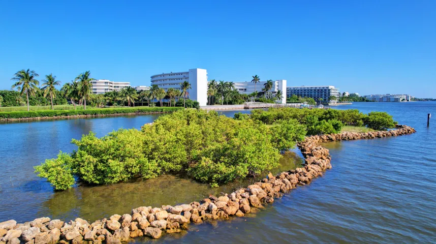 Waterfront property featuring a natural rock barrier, lush green foliage, and distant modern buildings