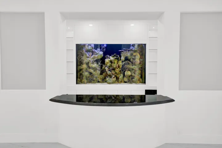 Salt Water Fish Tank