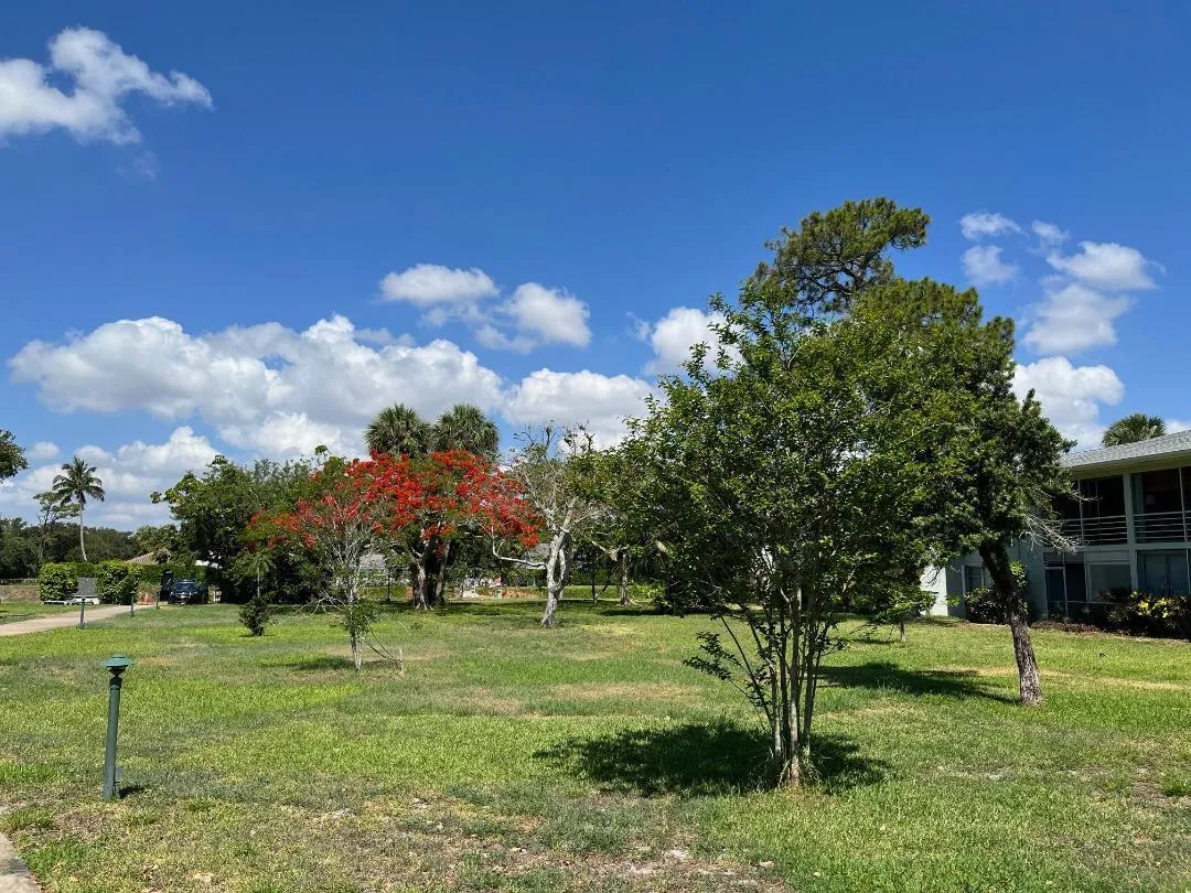 SPC grounds2